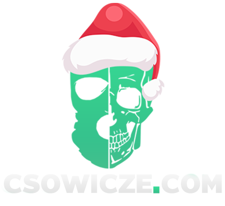 csowicze.com